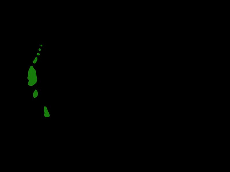 California Pitcher Plant (Darlingtonia californica)